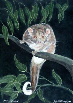 PossumPosing  by Rex Woodmore http://art-sale.weebly.com